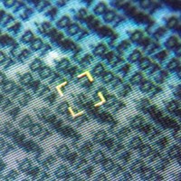 DNA kode tyverimærkning