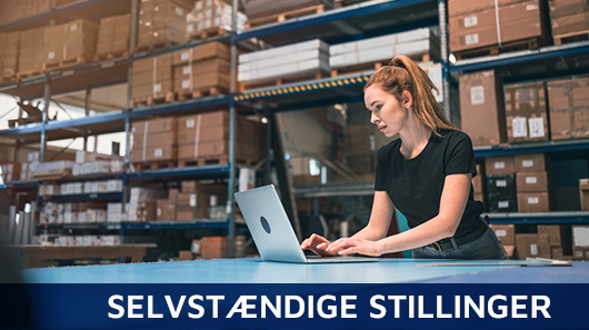 Sikkerhedsalarm til selvstændige jobstillinger